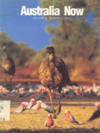 AUSTRALIA NOW : Volume 14 Number 4 1991